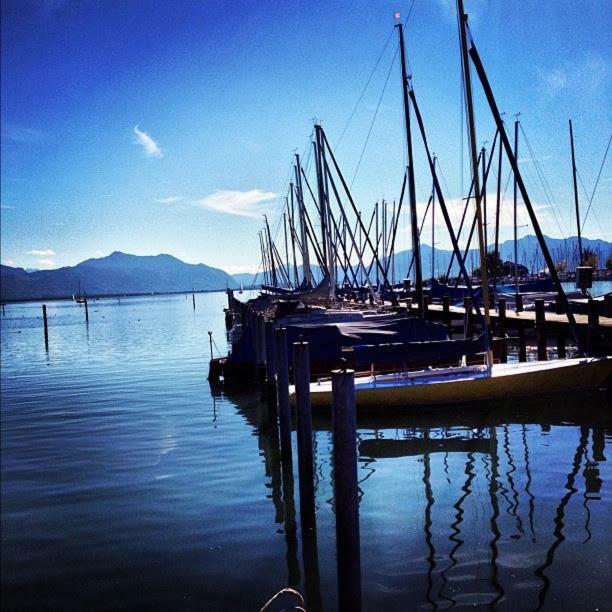 Ferienwohnung Seebruck Am Chiemsee 西奥-西布鲁克 外观 照片